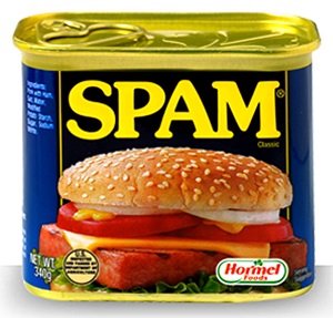 Come inviare email a più destinatari senza fare Spam 2